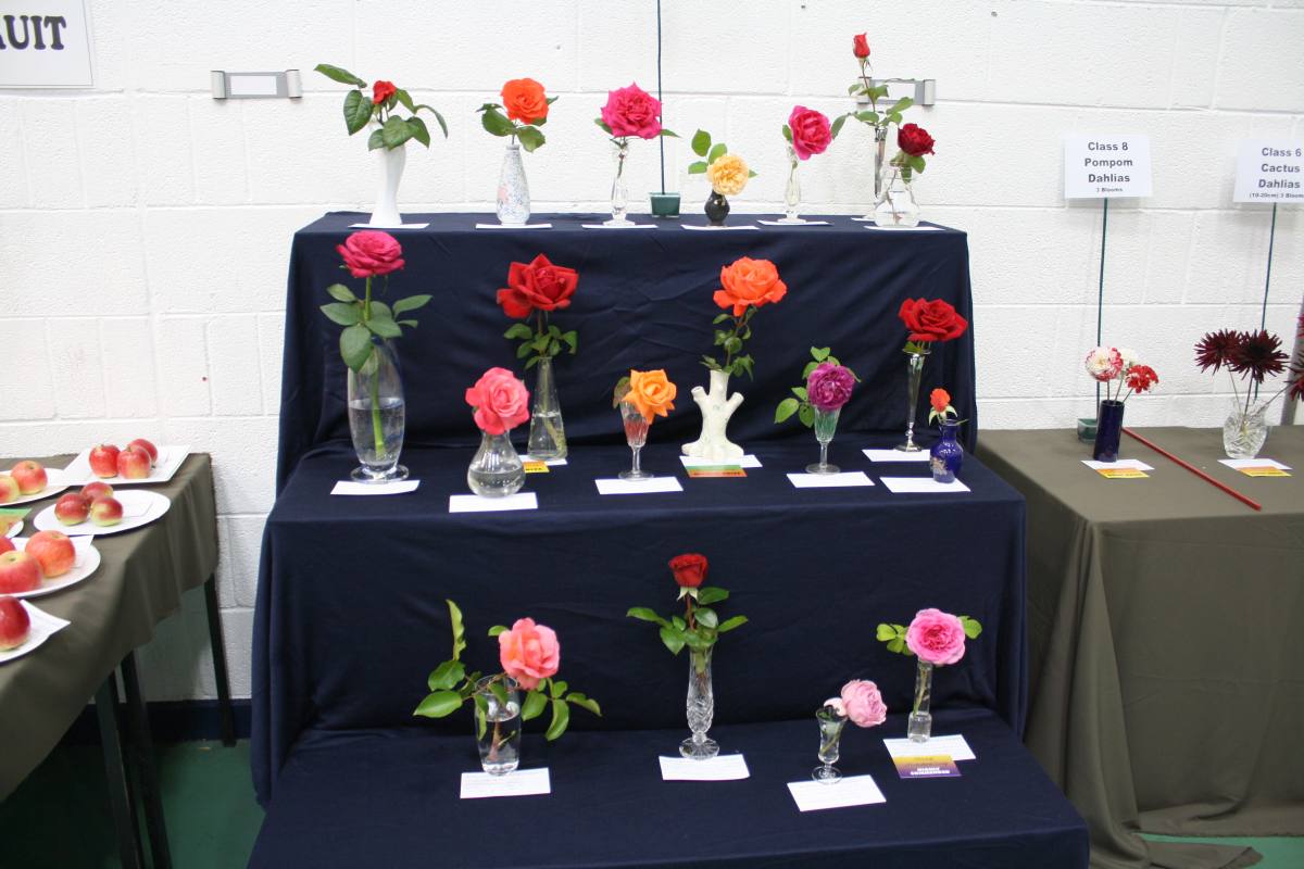 ../Images/Horticultural Show in Bunclody 2014--34.jpg